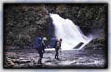 The waterfall of Mt.Sirakami source way