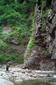 A vertical rock wall