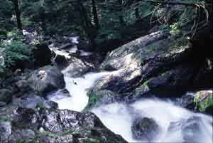 ゴーロ連瀑帯/The zone where a big rock was piled up and a white waterfall continued
